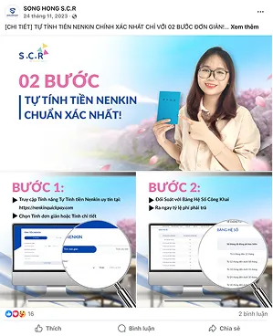 Ảnh 5