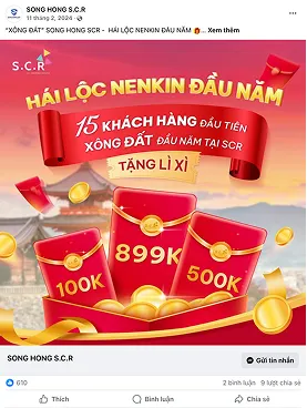 Ảnh 3